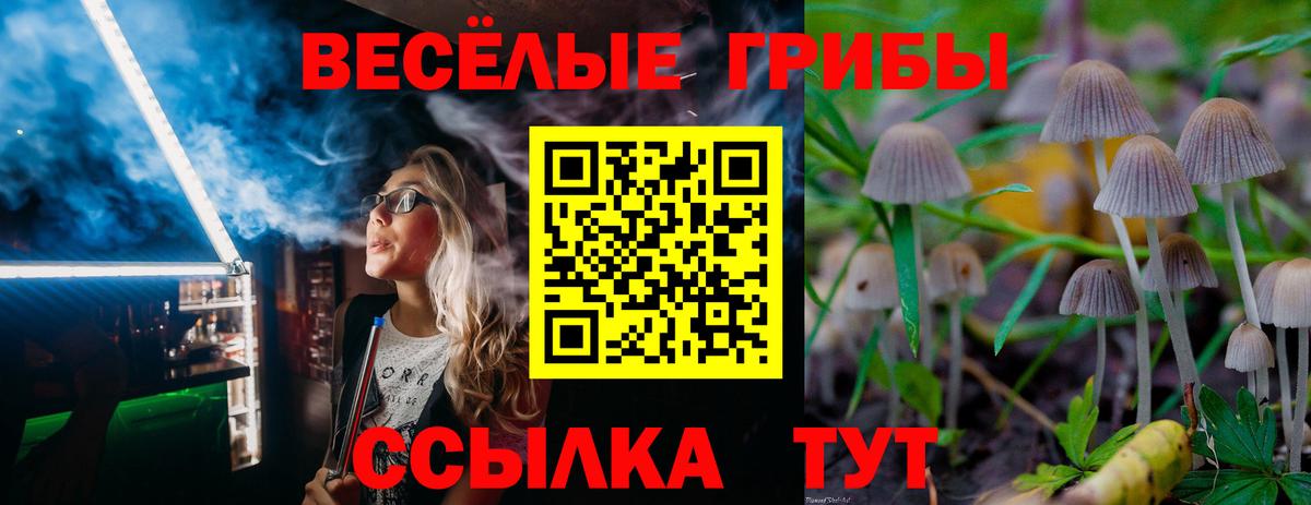 Когалым  Псилоцибиновые грибы Psilocybe  Галлюциногенные грибы прущие грибы  Вход с VPN 