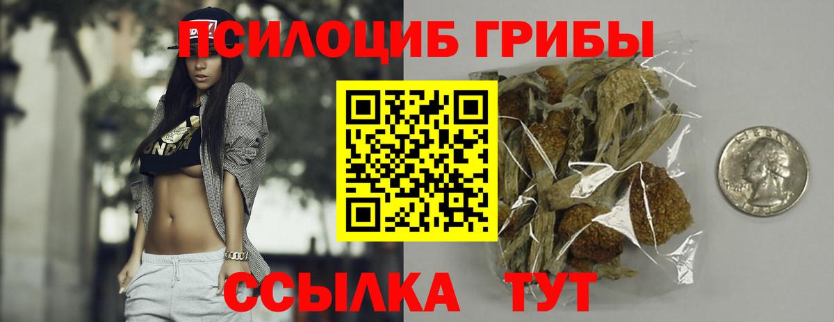 Псилоцибиновые грибы GOLDEN TEACHER Когалым